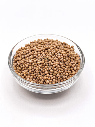 Yellow Mustard Seeds